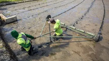 Penerapan Sistem Pertanian Modern PM-AAS untuk Capai Panen Padi 10 Ton per Hektare