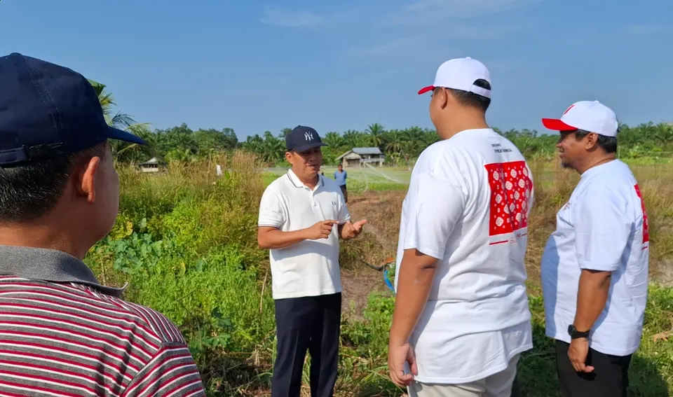 Sawah Desa Kemuje Gagal Panen Akibat Kerusakan Embung dan Kemarau