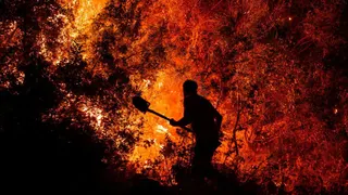 Kebakaran Hutan di Mugla Turki, Evakuasi Ratusan Warga dan Dampak Perubahan Iklim