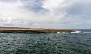 Gelombang Panas Laut Ancam Kesehatan Fisik dan Mental Manusia, Ini Kata Studi Terbaru