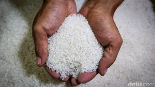 Bapanas Usut Beras Fortifikasi Bermasalah yang Mulai Ditarik Produsen dari Pasar