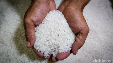 Bapanas Usut Beras Fortifikasi Bermasalah yang Mulai Ditarik Produsen dari Pasar