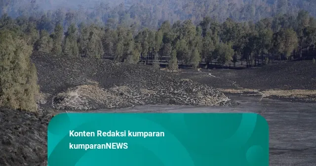 Foto, Kawasan Danau Ranu kumbolo Menghitam Usai Dilanda Kebakaran TNBTS