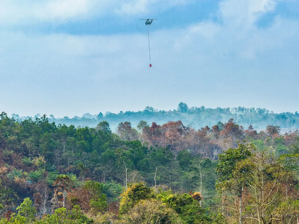 Otorita IKN, Kebakaran Hutan Jauh dari Kawasan Inti Pemerintahan