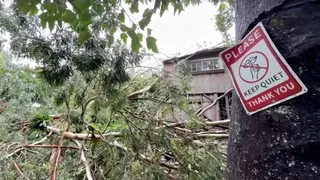 Dampak Badai Tropis Lala di Hawaii, Ratusan Ribu Pelanggan Alami Pemadaman Listrik