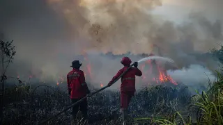 Update Penanganan Kebakaran Hutan di Kalimantan hingga Sumatera