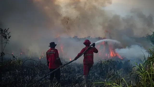 Update Penanganan Kebakaran Hutan di Kalimantan hingga Sumatera