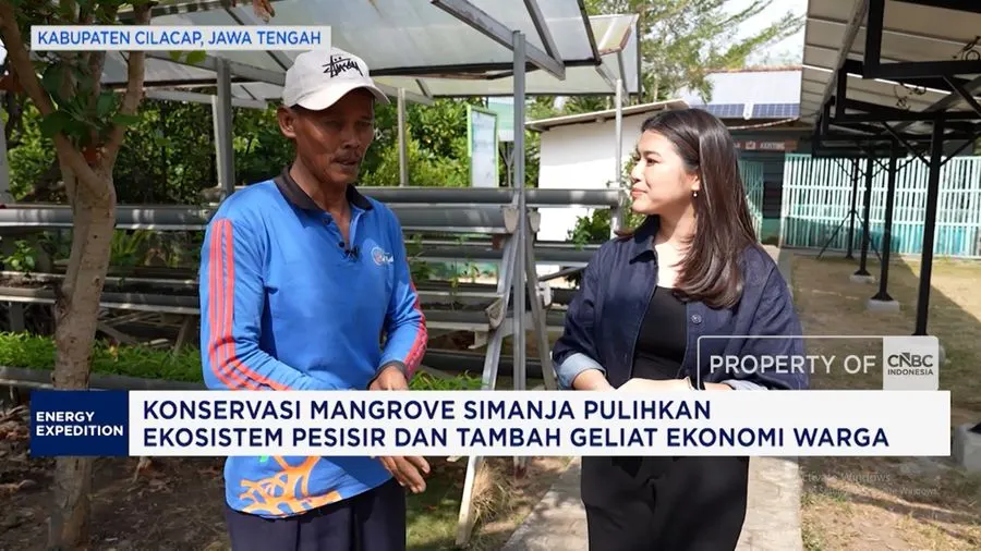 Konservasi Mangrove Simanja Pulihkan Ekosistem Pesisir Cilacap