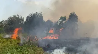 Waspada Karhutla di Banjarbaru, Lahan Terdampak Kini Capai 969 Hektare