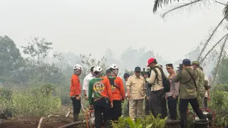 Usai Pontianak, Prabowo Pimpin Penanganan Kebakaran Hutan Kalimantan Tengah