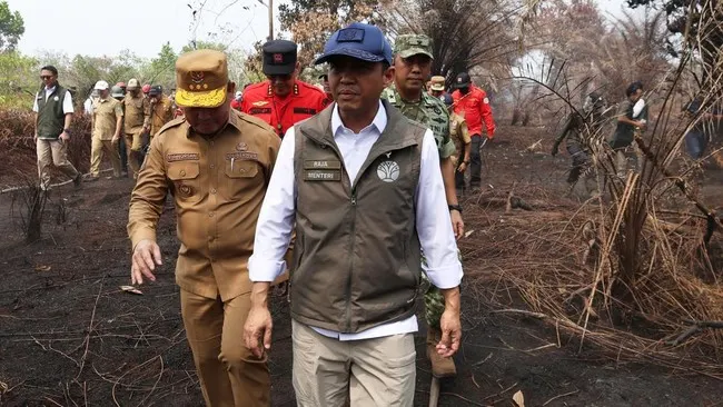 Karhutla Ancam Orangutan, Patroli dan Rescue Satwa Diperkuat