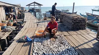Lewat Program Ini, BRI Dorong Pengusaha Ikan Kering Sorong Naik Kelas