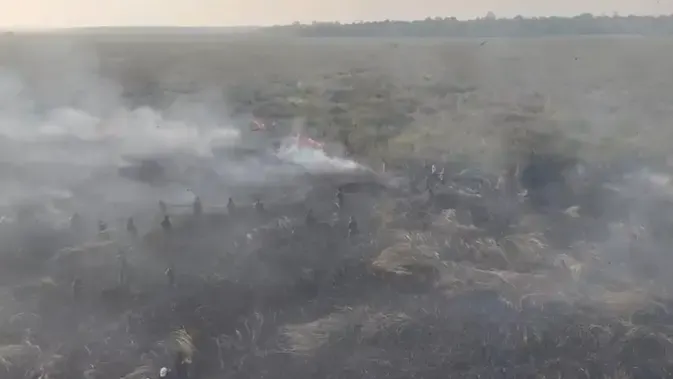 Kemenhut Sanksi 6 Perusahaan Buntut Kebakaran Hutan di Kalimantan