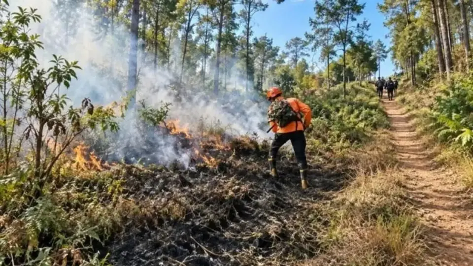 Kebakaran Bromo Dekati Permukiman, Petugas Buat Sekat Bakar