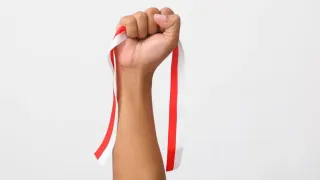 Ide Tema 17 Agustus yang Kreatif dan Unik untuk Perayaan HUT RI