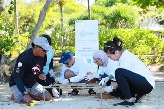 Restorasi Ekosistem Laut Bali Barat Melalui Transplantasi Terumbu Karang dan Ocean LiteraSEA