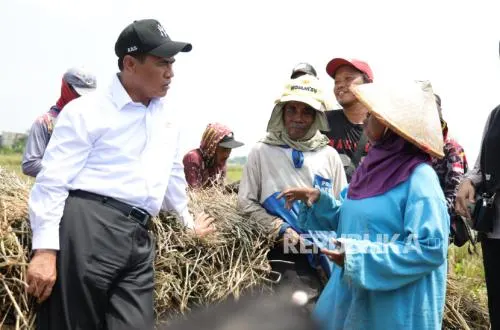 Mentan Amran Raih Skor Kinerja Tertinggi di Kabinet Merah Putih Versi IndexPolitica