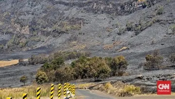 Kebakaran Hutan di Gunung Bromo Hanguskan Ratusan Hektare Savana