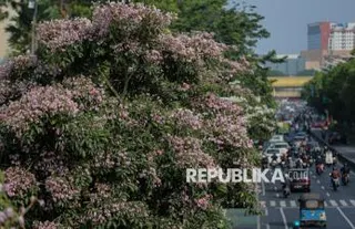 Purbaya Ungkap APBN di Jabar Surplus Rp 22 Triliun Hingga Juli 2026