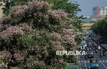 Purbaya Ungkap APBN di Jabar Surplus Rp 22 Triliun Hingga Juli 2026