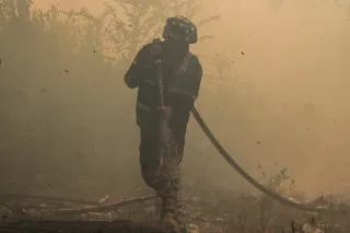 Link Foto Pray For Kalimantan 2026 Gratis untuk Medsos dan Update Sebaran Karhutla