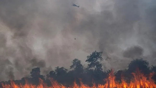 Kabut Asap Selimuti 20 Daerah di Sumut, Jarak Pandang 1 Kilometer