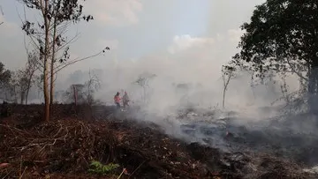 Operasional Pesawat Asing Ikut Tangani Karhutla, Prosedur Perizinan hingga Pengaturan Ruang Udara