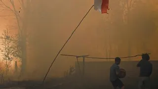 1.487 Hotspot Terdeteksi di Wilayah Kalimantan, Terbanyak di Kalteng