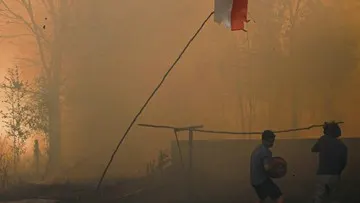 1.487 Hotspot Terdeteksi di Wilayah Kalimantan, Terbanyak di Kalteng