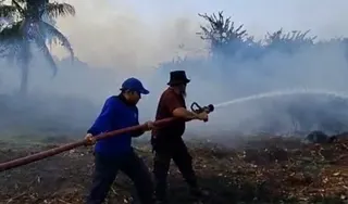 Damkar Kabupaten Bangka Kewalahan Tangani Karhutla yang Mencapai 10 Laporan per Hari