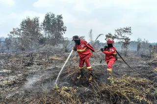Konten IG, Keroyokan Tangani Kebakaran Hutan Kalimantan-Sumatera