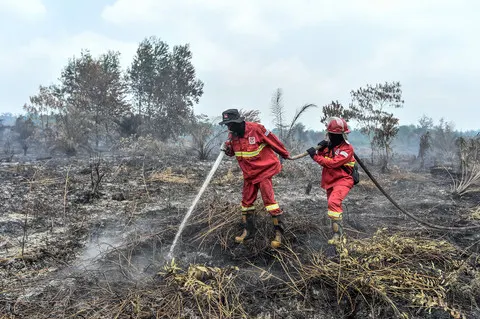 Konten IG, Keroyokan Tangani Kebakaran Hutan Kalimantan-Sumatera