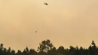 Penanganan Kebakaran Lahan Gambut Menggunakan Helikopter di Pulang Pisau