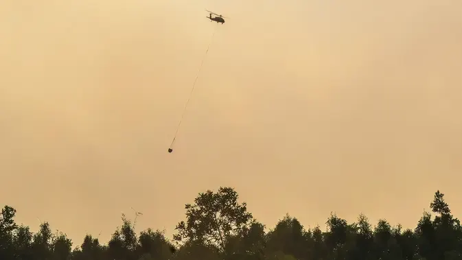 Penanganan Kebakaran Lahan Gambut Menggunakan Helikopter di Pulang Pisau