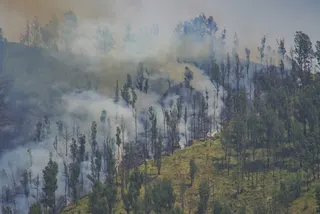 Kebakaran Gunung Bromo, Water Bombing Terhenti, Cuaca Jadi Kendala