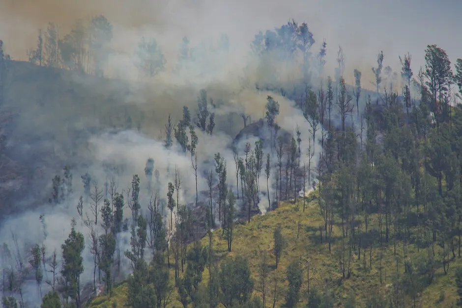 Kebakaran Gunung Bromo, Water Bombing Terhenti, Cuaca Jadi Kendala