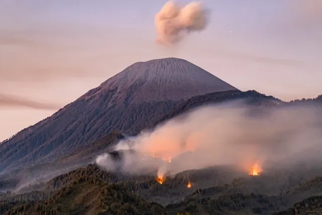 9 Taman Nasional Ditutup Sementara untuk Cegah Risiko Kebakaran Hutan