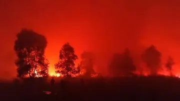 Kemenhut Ungkap Berbagai Tantangan Pemadaman Kebakaran Hutan di Kawasan Gambut Way Kambas