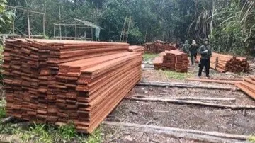 Kemenhut Bongkar Pembalakan Liar di SM Kerumutan Riau dan Tetapkan Enam Tersangka