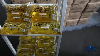 Kemendag Ungkap Hubungan Ekspor CPO dan Potensi Penurunan Produksi Minyakita