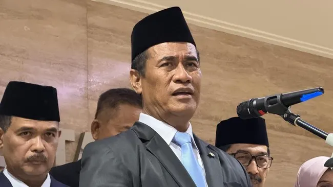 Amran soal Beras RI Kalah Murah dari Vietnam, Subsidi Kecil Banget