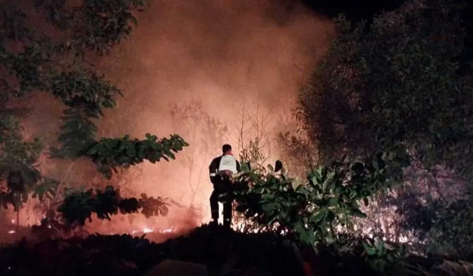 Walhi Ungkap 70 Persen Titik Api Karhutla Berada di Kawasan Konsesi Perusahaan