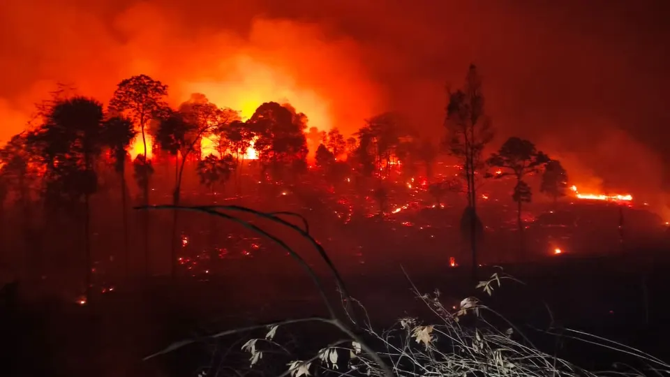 Kebakaran kembali Landa Kawasan Hutan di IKN, Petugas Gabungan Terus Berupaya Padamkan Api