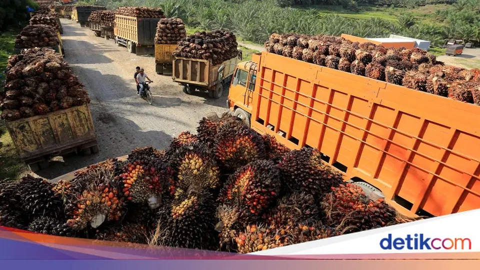 Implementasi Kewajiban Penempatan Devisa Hasil Ekspor Sumber Daya Alam Resmi Berlaku Berdasarkan PP Nomor 21 Tahun 2026