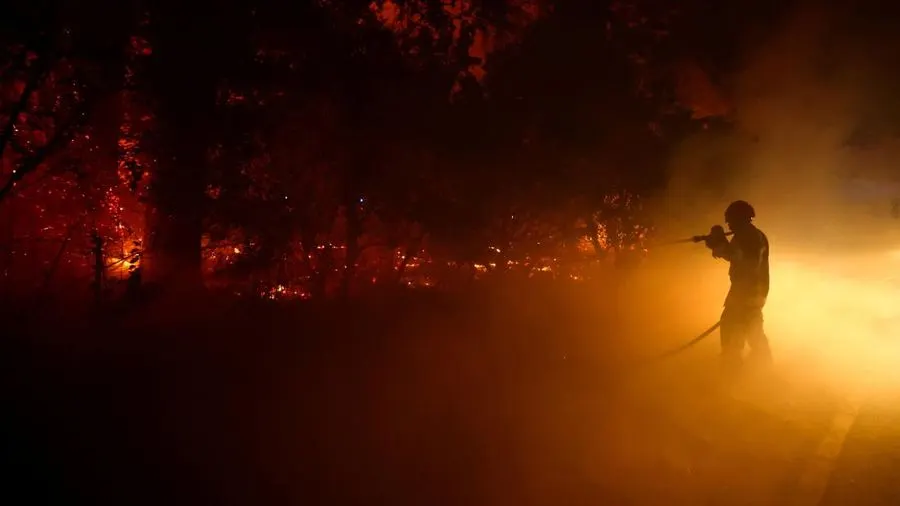 Ratusan Orang Ditangkap terkait Kebakaran Hutan, Motifnya Tak Terduga