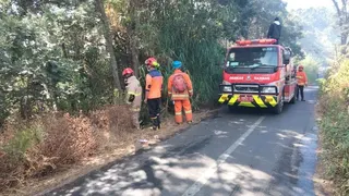 Kebakaran Hutan Bromo Merembet ke Malang-Lumajang, Jalur Ditutup