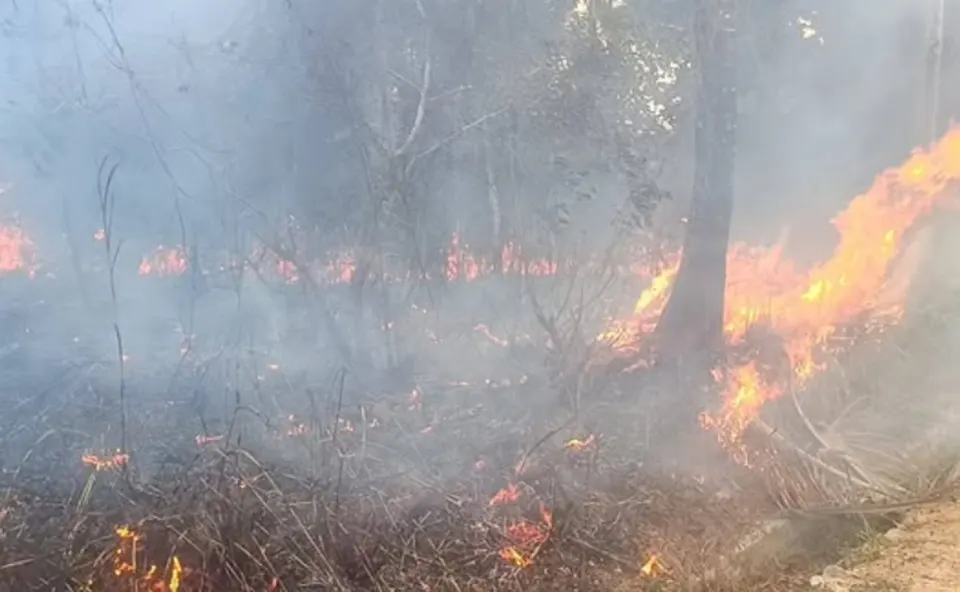 Kebakaran Lahan Terjadi di Kampung Jeruk Bintan, Dipicu Warga Bakar Sampah
