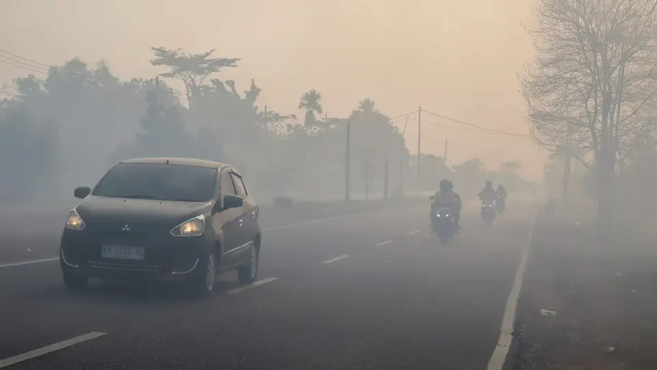 Kebakaran Hutan Makin Parah, Kalteng Tetapkan Tanggap Darurat Bencana