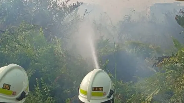 Ilalang di Kampung Bandan Jakut Kebakaran, 80 Personel Damkar Dikerahkan