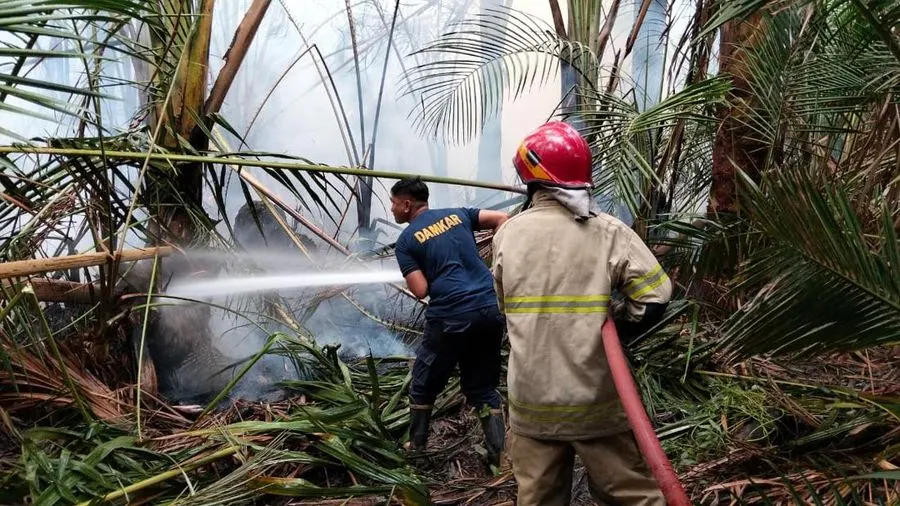 Potret Bencana di RI, Wilayah di Sumatra Ini Dihantam Kebakaran-Banjir